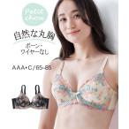 ブラジャー (AAA70-C85) プチ胸サイズ　着心地いいクッション包まれる ノンワイヤーブラジャー（プティシュ）ニッセン  女性 下着 レディース ノンワイヤーブラ