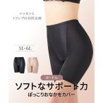 補正下着 M - 6L ずっと はきごこち ガードル ( トリンプ ) ニッセン 女性 下着 レディース 補正 お腹 お尻 ヒップ ぽっこりお腹 ひきしめ 苦しくない 楽 体型