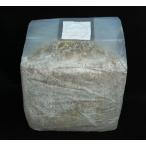 ブナ１００％ オオヒラタケ菌糸ブロック　ＹＳＢ−３５００ｃｃ