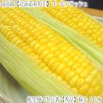 （送料無料 とうもろこし 北海道産）ゴールドラッシュ 10本（大粒 特大 最高級 収穫日に空輸で翌日着！東旭川地域産 北海道ブランド トウモロコシ 黄色）