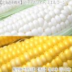 （送料無料 とうもろこし セット 北海道産）ピュアホワイト ミエルコーン 2種類 計10本（大粒 最高級 収穫日に空輸で翌日着！南幌町産 北海道ブランド 黄 白）