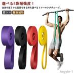 【送料無料】ベルト 懸垂補助 ロング ストレッチ レジスタンスバンド ループバンド エクササイズバンド トレーニングチューブ ゴムチューブ