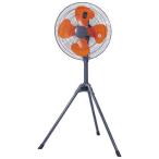���A�T�v���C���X�@45cm�X�^���h�H��� �H��p��@ �X�^���h��@