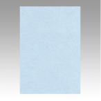  документ .. новый цвет R.tsu порез ( лаванда )