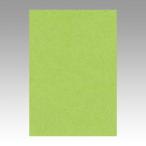  документ .. новый цвет R.tsu порез (....)