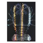 a- Tec тент грамм scratch панель 2 190×265mm