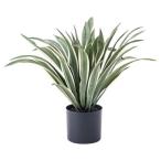  восток . искусственная зелень агава декоративное растение искусственный цветок GRN-13 агава 