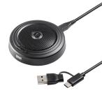  Sanwa Supply прямая поставка шум отмена USB Mike 