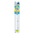 レイメイ藤井　先生おすすめ定規　18cm　直定規