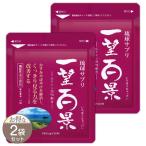 【 2袋セット 】 琉球サプリ 一望百景 30粒 約1ヶ月分 マイケア ルテイン アントシアニン フコイダン