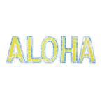 SALE SALE ALOHA ロゴ壁掛け 壁掛け 小物 オーナメント ハワイアン雑貨 ハワイアン インテリア 雑貨 ハワイ おしゃれ 安い サーフ ビーチ