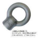 ＮＡＮＩＷＡ　アイナット　Ｍ１６