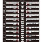 【ポスト投函便低価格発送】シンワ　曲尺平ぴた　シルバー　15cm/5寸　10037　併用目盛