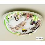 【直送品】 コミー （Komy） ラミド�