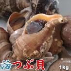 北海道産 天然 活つぶ貝 フジイロエゾボラ 1kg前後 5-10個前後 送料無料 ※沖縄は送料別途加算 父の日 お中元 夏至
