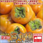 和歌山産訳あり富有柿　5kg詰 送料無料 北海道、沖縄・離島は送料別途加算