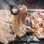 森町駒ヶ岳ポーク焼肉セット計900g 送料無料 ※沖縄は送料別途加算 母の日 お花見 ゴールデンウィーク