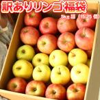 りんご 訳あり 福袋 5kg 青森もしくは北海道産 リンゴ 送料無料沖縄は送料別途加算