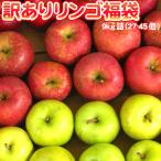 りんご 訳あり 福袋 10kg 青森もしくは北海道産 リンゴ 送料無料沖縄は送料別途加算