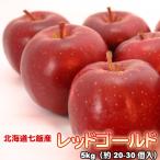 ショッピング御中元 りんご 北海道産 蜜入 レッドゴールド リンゴ 5kg 約20-30個入  送料無料沖縄は送料別途加算 御中元 キャンプ 夏祭り