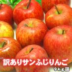 サンふじ りんご 訳あり 送料無料 10kg詰沖縄別途送料加算 サンフジ　セール