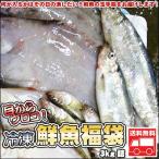 鮮魚を急速冷凍北海道お魚福袋3kg送料無料 ひな祭り 新生活 ホワイトデー