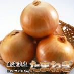  лук репчатый бесплатная доставка 5kg шар лук порей лук tama лук-батун Hokkaido производство L-2L размер * Okinawa доставка отдельно . прибавление 