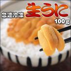 生うに100g　セール