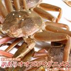 セコガニ 活 北海道産 香箱ガニ せいこ蟹 訳あり 2kg詰 約4-12尾入 身入り7分前後  送料無料 沖縄送料別途加算 ひな祭り 新生活 ホワイトデー