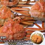 外子付き 訳あり ボイル オオズワイガニ メス 2kg詰 約12-18尾入 送料無料 ※沖縄別途送料加算 母の日 お花見 ゴールデンウィーク