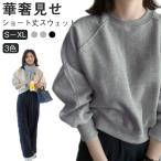  тренировочный объем рукав большой размер длинный рукав надеты поворот короткий Drop плечо простой тянуть over короткий тренировочный [ бесплатная доставка ] верх 