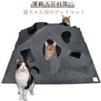  кошка для игрушка коврик домашнее животное игровой коврик кошка фетр коврик кошка -тактный отсутствует аннулирование движение нехватка кошка для игрушка коврик .. развивающая игрушка кошка Chan 