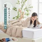 ダウンケット シングル 羽毛布団 夏用 ダウン80% 夏布団 羽毛肌掛け布団 肌掛け布団 肌掛け 夏用布団 肌掛け羽毛布団 掛け布団 羽毛布団 洗えるダウンケット