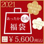 福袋 2020年 毛布 2枚合わせ2点入り+おまけ1点 HAPPY BAG 2020年新春福袋 2枚合わせ毛布 冬生活応援 毛布セット 送料無料