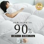 羽毛布団 セミダブル 掛け布団 冬用 ダウン90% 暖かい 羽毛掛け布団 かけ布団 冬用布団 羽毛 掛ふとん 羽毛ぶとん 冬布団 羽毛掛布団 掛布団 収納袋付き
