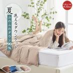 最大1,000円OFFクーポン★ダウンケット シングル 羽毛肌掛け布団 ダウン90％ 羽毛布団 夏用 掛け布団 シングル 夏布団 肌掛け布団 羽毛 夏掛け布団 肌布団