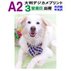 大判 デジカメプリント A2サイズ 1枚 3営業日目出荷