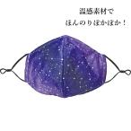洗える 布マスク ステ