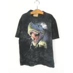  Kids б/у одежда 00s The Mountain [Dinosaur Walk Museum] динозавр Thunder Thai большой футболка L 12 лет . высший б/у одежда 