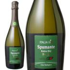 ワイン イタリア スプマンテ エクストラ・ドライ オーガニック NV ボッター・カルロ 白 wine
