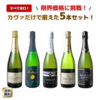 ショッピングビール 父の日 ワイン ワインセット スパークリング 5本 格安 辛口 泡 カヴァ カバ セット シャンパン製法 瓶内二次発酵 カヴァだけ 第59弾 wineset 送料無料