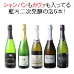ワイン ワインセット スパークリング シャンパン入 5本 セット シャンパン製法 瓶内二次発酵 泡好き歓喜 第47弾 wineset 送料無料 ギフト 【CHS】