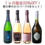 ワイン ワインセット 1ヶ月限定25%OFF