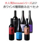 ワイン ワインセット 産地・ブドウ品種の個性を知って楽しむ！ Because シリーズ 6本 赤ワイン 飲み比べセット ビコーズ 第1弾 wineset 送料無料