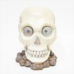 【即納】ソーラーライト スカル　RH-629 35センチ 骸骨 頭骸骨 ガイコツ 室外 エコ ソーラー インテリア 玄関 エントランス ガーデン 庭 太陽光 充電