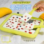 アイスクリームメーカー 電気不要 保冷 304ステンレス鋼 ヘラ2つ付き 手作り 一部即納 シャーベット ジェラート プレートタイプ 冷凍フルーツ かき氷機