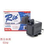 カミハタ Rio+ リオプラスパワーヘッド50 60Hz