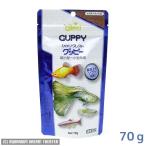 追跡可能メール便 ひかりクレスト グッピー スタンドパック 70g 　同梱・代引・日時指定不可