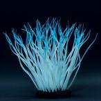 kami - ta...... kun L голубой расположение орнамент 