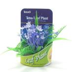  Tetra leaf план toLP-10